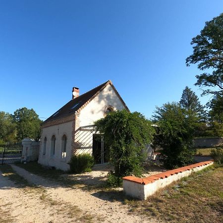 Chateau Des Nouies Villa Selles-sur-Cher Exteriör bild