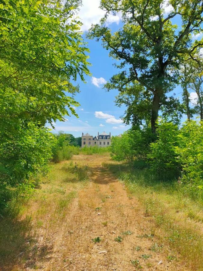 Chateau Des Nouies Villa Selles-sur-Cher Exteriör bild