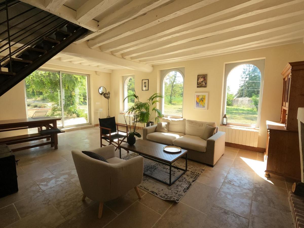 Chateau Des Nouies Villa Selles-sur-Cher Exteriör bild